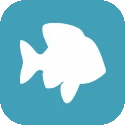 Plenty Of Fish